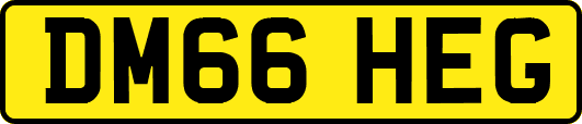 DM66HEG