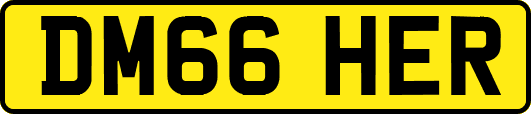 DM66HER