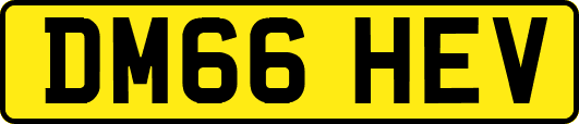 DM66HEV