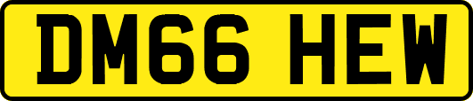 DM66HEW