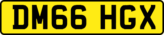 DM66HGX