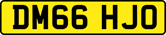 DM66HJO