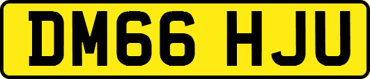 DM66HJU