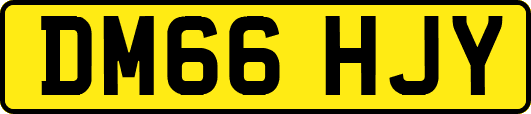 DM66HJY
