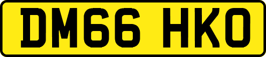 DM66HKO