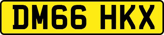 DM66HKX