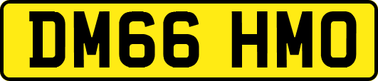 DM66HMO