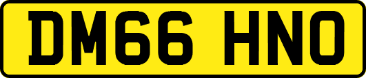 DM66HNO