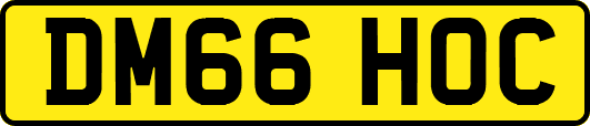 DM66HOC