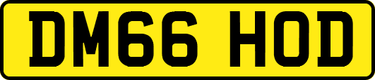 DM66HOD