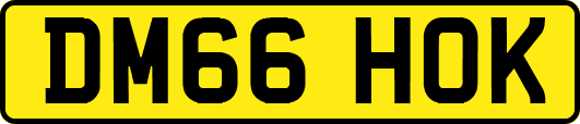 DM66HOK