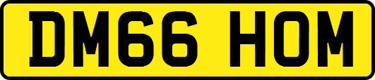 DM66HOM
