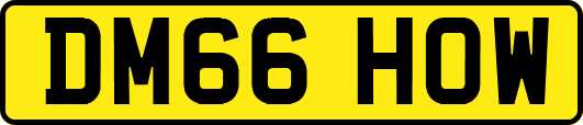 DM66HOW