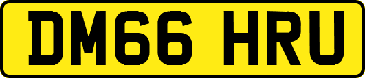 DM66HRU