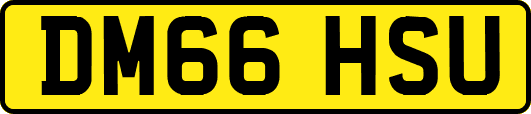 DM66HSU