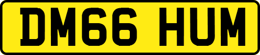 DM66HUM
