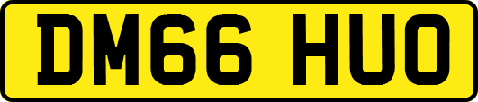 DM66HUO