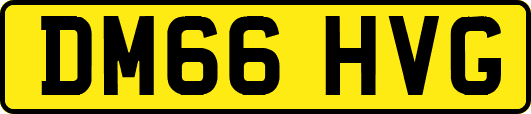 DM66HVG