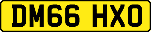 DM66HXO