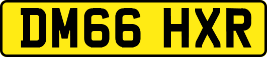 DM66HXR
