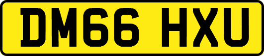 DM66HXU