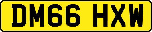 DM66HXW