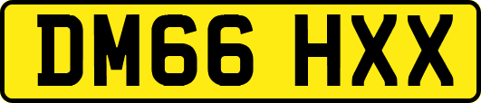 DM66HXX