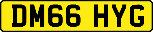 DM66HYG