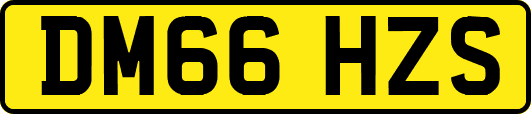 DM66HZS