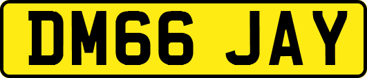 DM66JAY