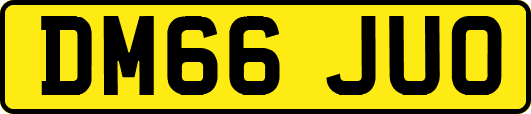 DM66JUO