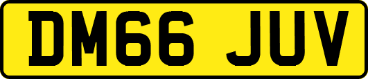 DM66JUV