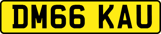DM66KAU