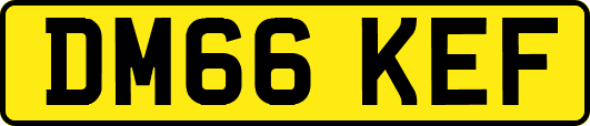 DM66KEF