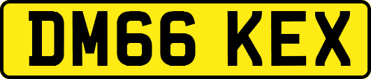 DM66KEX
