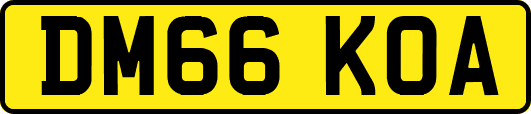 DM66KOA