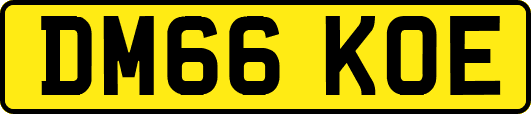 DM66KOE