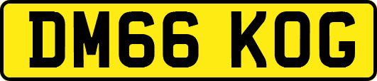 DM66KOG