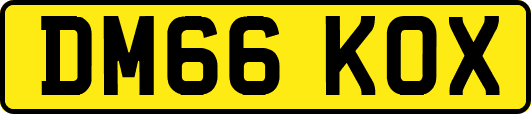 DM66KOX