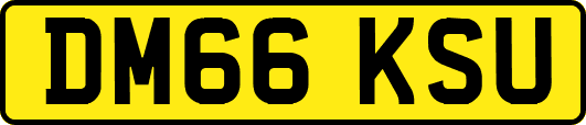 DM66KSU