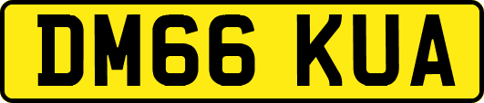 DM66KUA