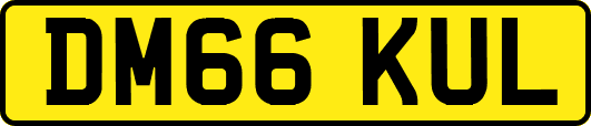 DM66KUL