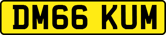 DM66KUM