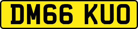 DM66KUO