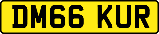 DM66KUR