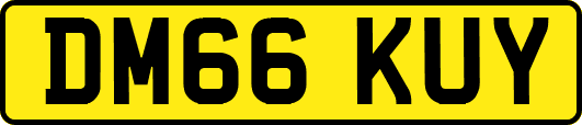 DM66KUY