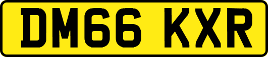 DM66KXR