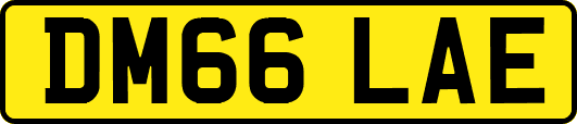 DM66LAE