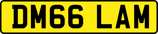 DM66LAM
