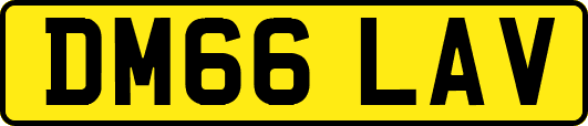 DM66LAV